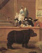 LONGHI, Pietro The Rhinoceros (mk08) oil painting picture wholesale